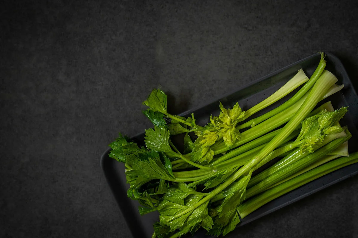 Fresh celery stalks and leaves on a dark tray