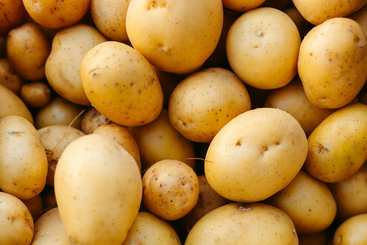Whole yellow potatoes before cooking