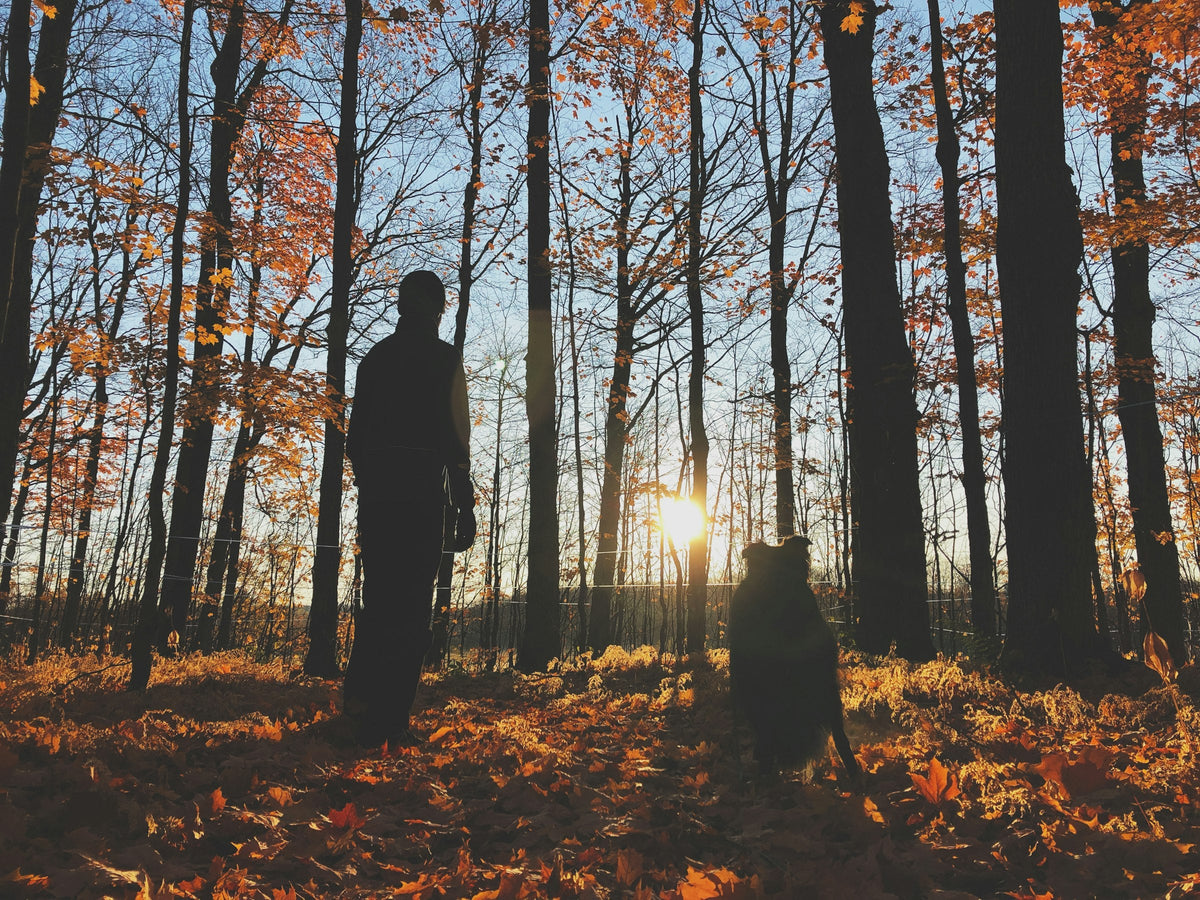 Man kneeling in autumn leaves hugging his dog