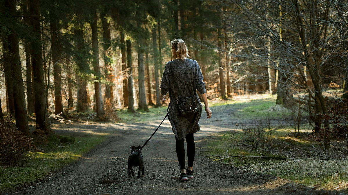 Woman walking her black Labrador on a path