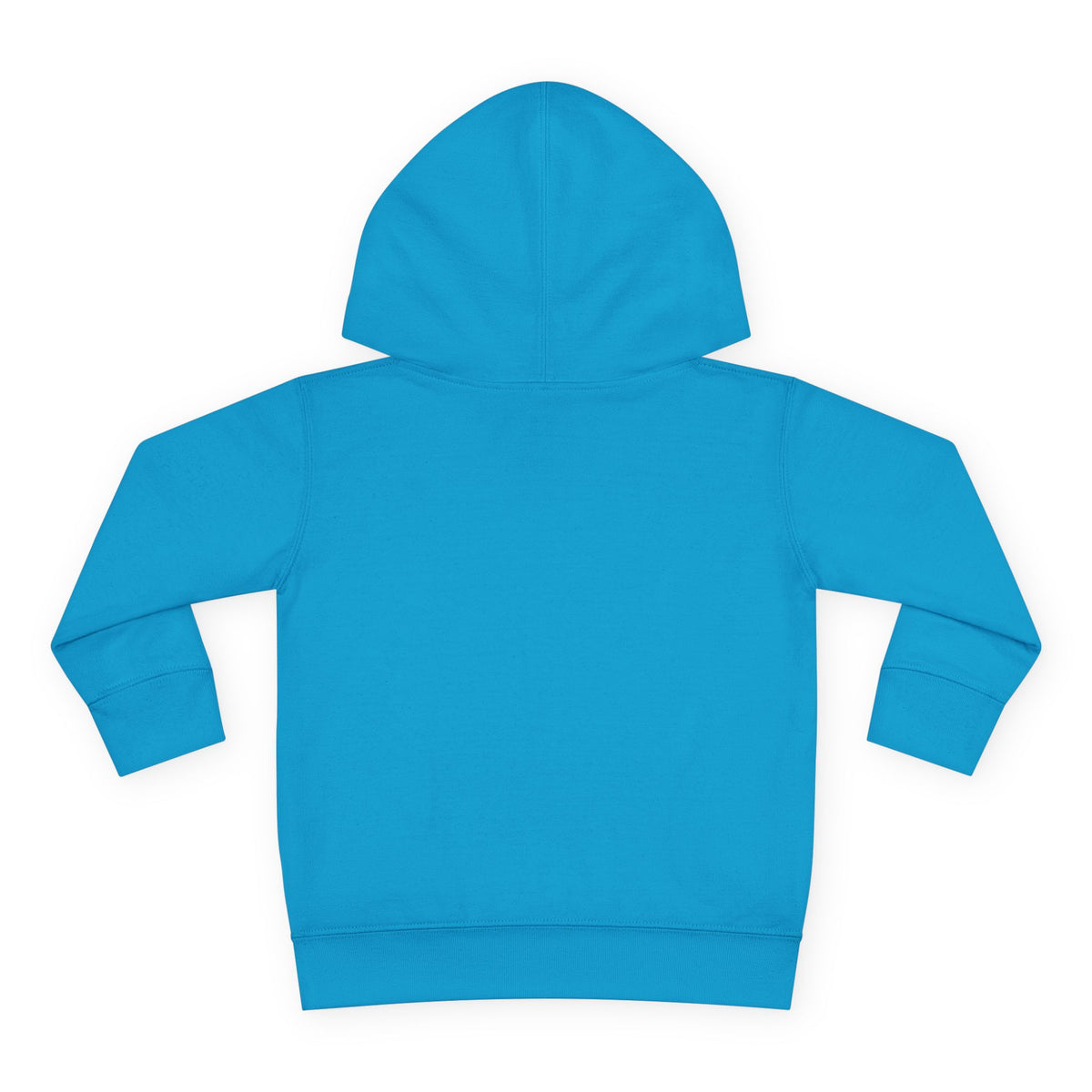 Toddler Christmas Family Bear Pullover Hoodie