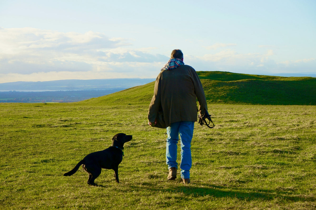 Man walking his black Labrador across a green hillside