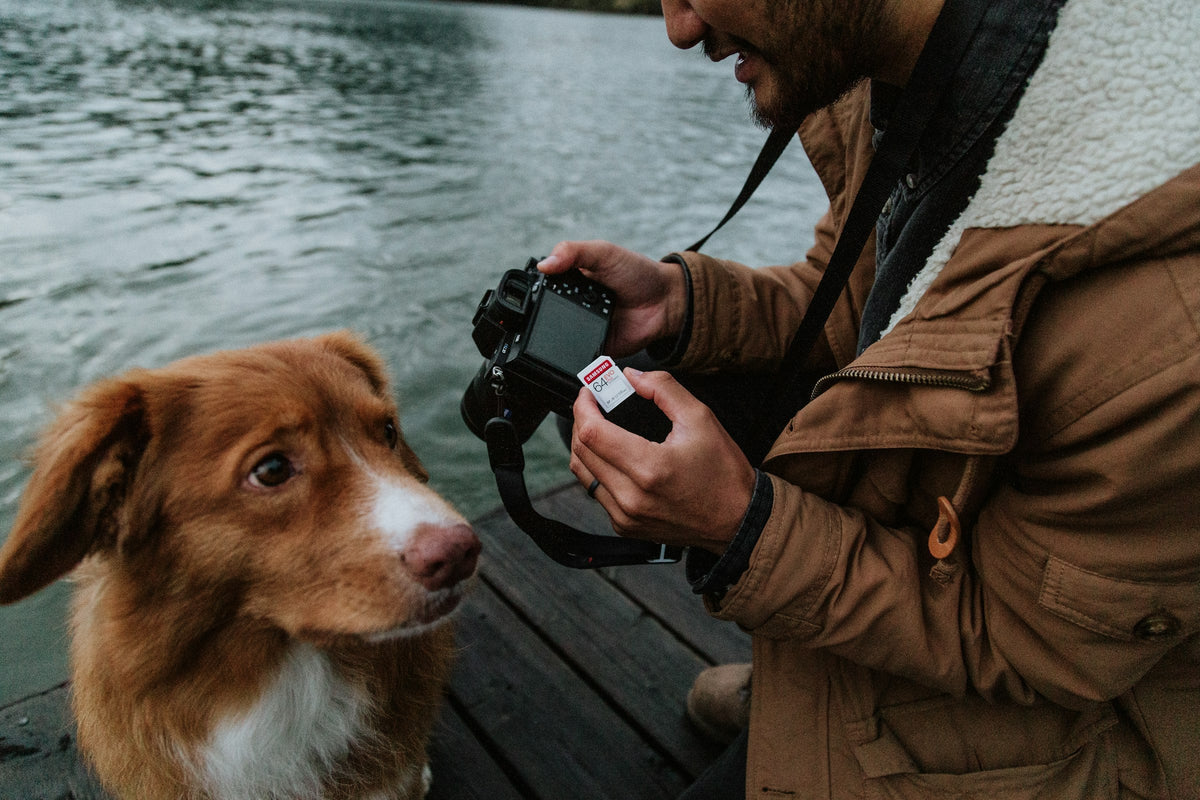 Person photographing their dog by the water