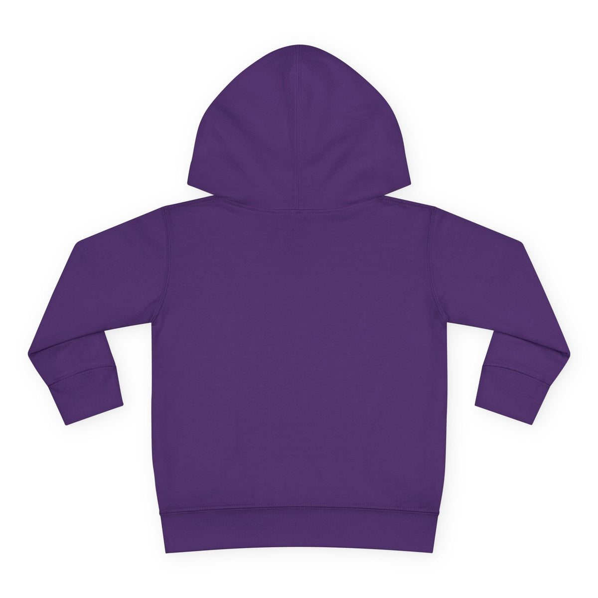 Toddler Christmas Family Bear Pullover Hoodie