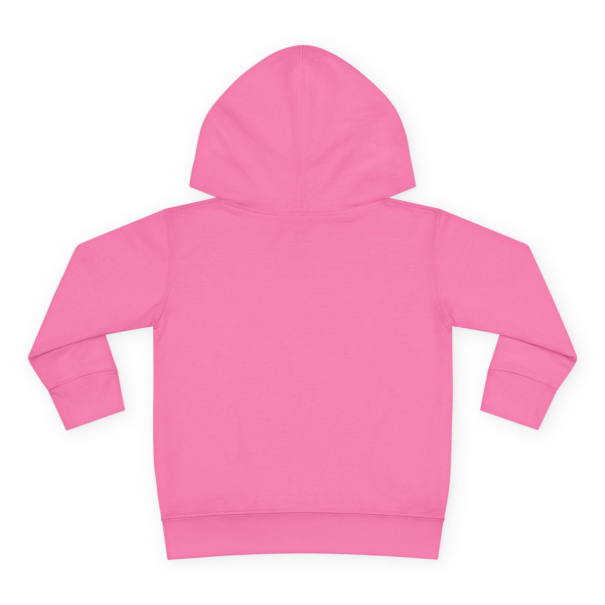 Toddler Christmas Family Bear Pullover Hoodie