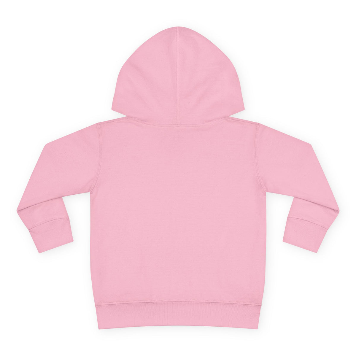 Toddler Christmas Family Bear Pullover Hoodie
