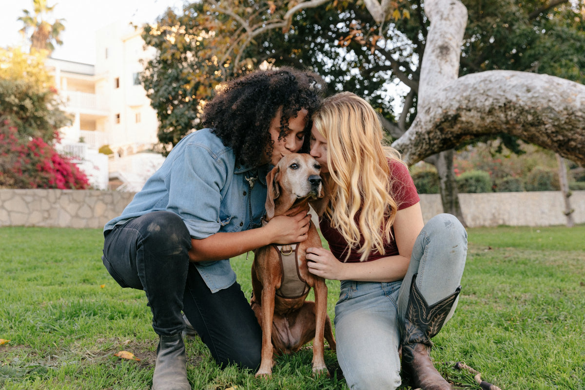 Couple kissing their dog on a garden walk